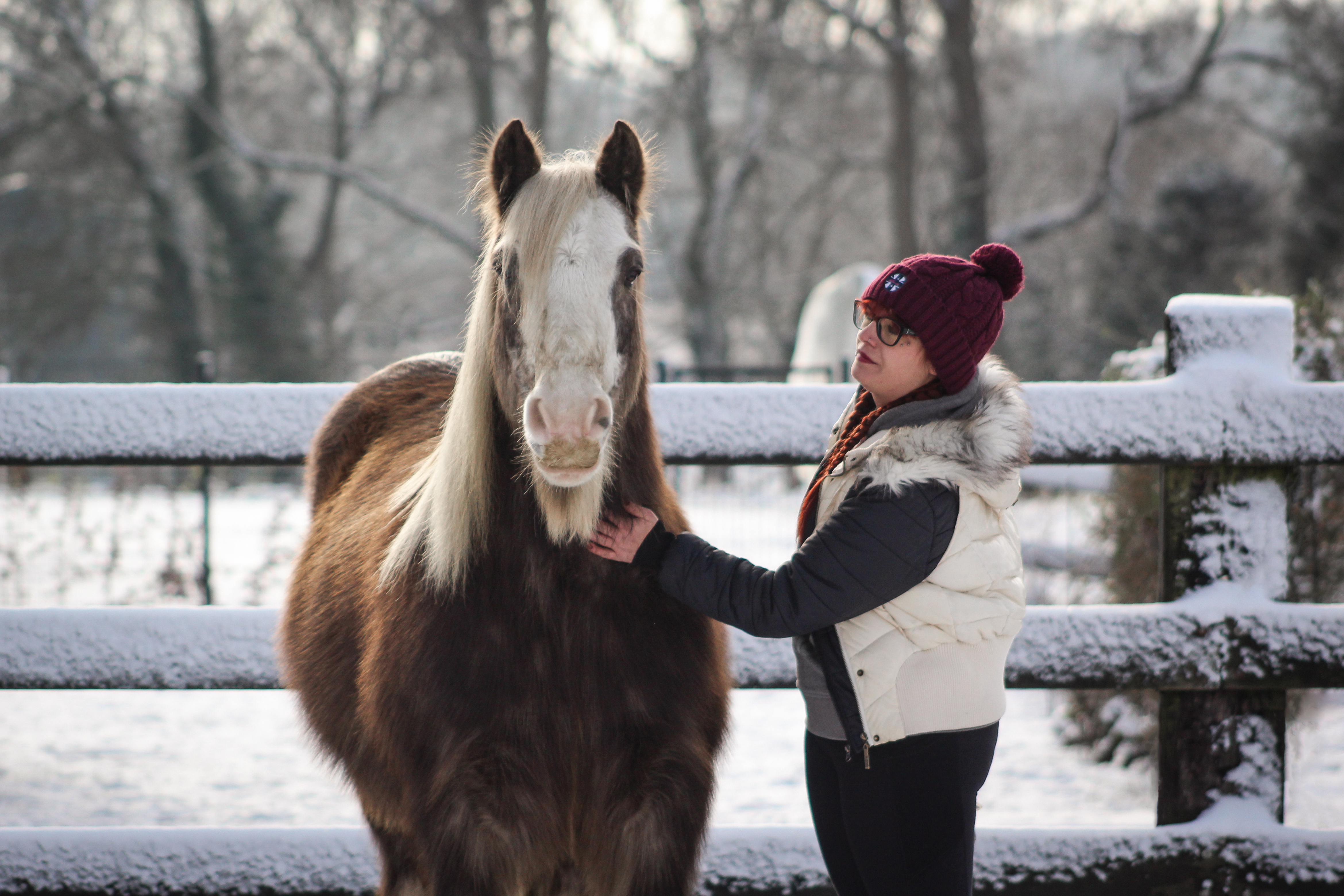 Photo de Laurène et Bonvivant le 11 janvier 2026