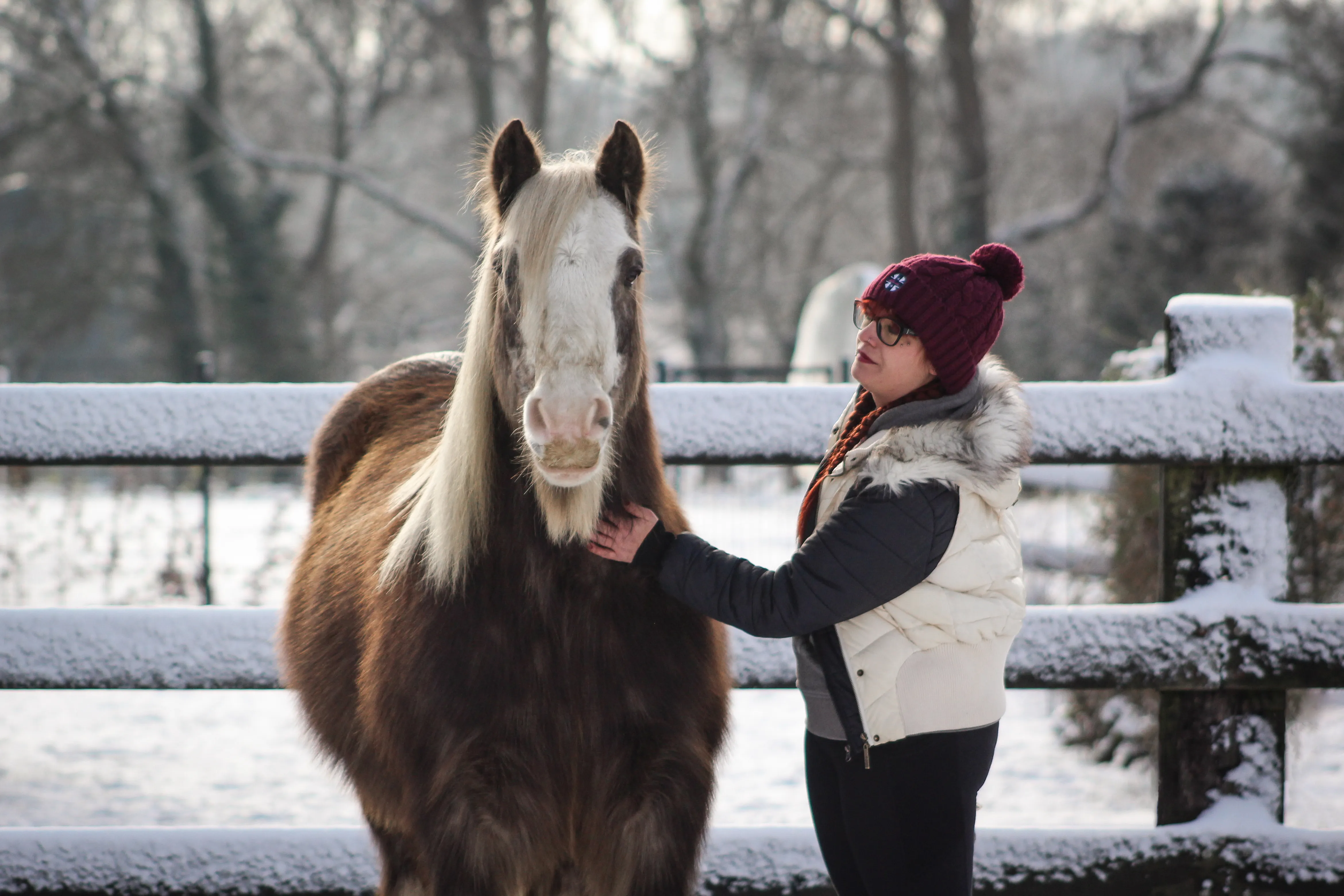 Photo de Laurène et Bonvivant le 11 janvier 2026