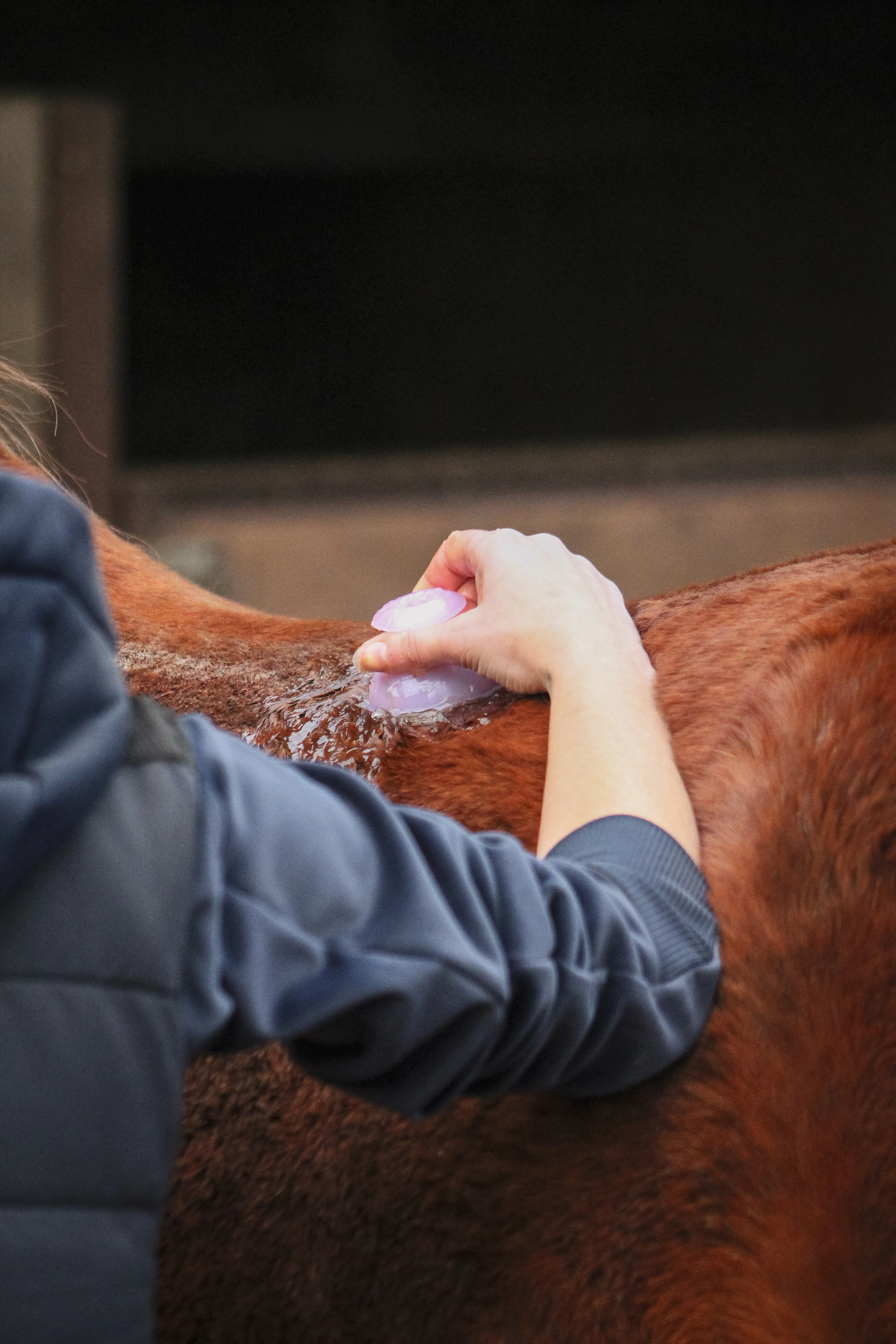 Photo de Coline qui pose une cup sur Angela le 21 janvier 2026